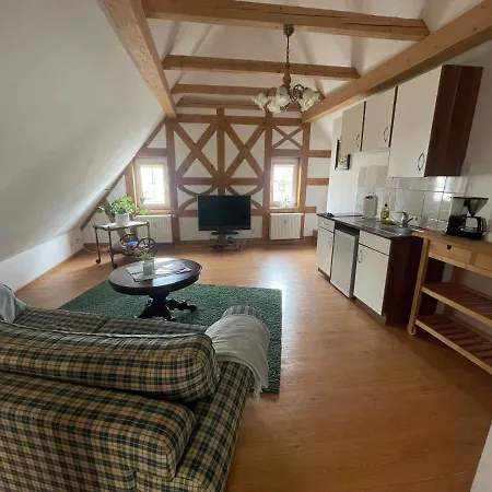 Apartment Am Cospudener *