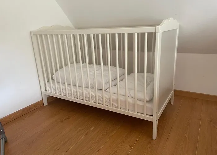 Apartment Am Cospudener *